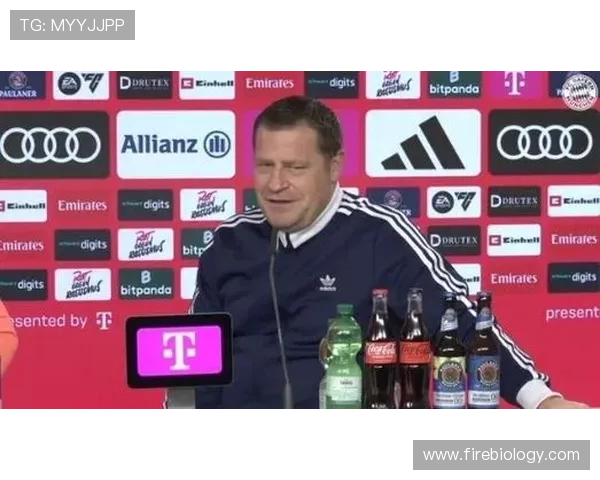 记者曝奥斯梅恩被推荐拜仁埃贝尔称球队暂无以他为核心需求当前规划定位明确